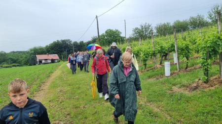 16. pohod Pomlad v prleških goricah 2022 44